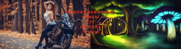 героин Богородицк