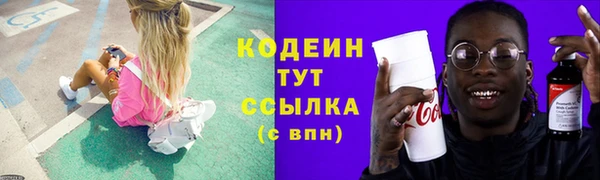 соль ск Пестово