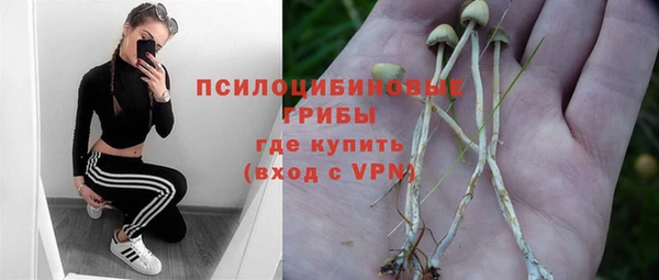 прущая мука Богородск