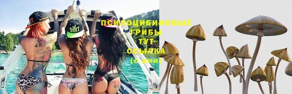 дистиллят марихуана Богданович